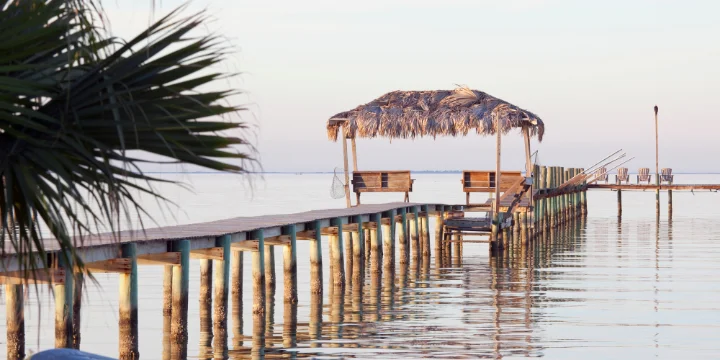 Palm Harbor | Miss Kitty's Fishing Getaways | A Vtrips Experience Palm Harbor | Miss Kitty's Fishing Getaways | A Vtrips Experience