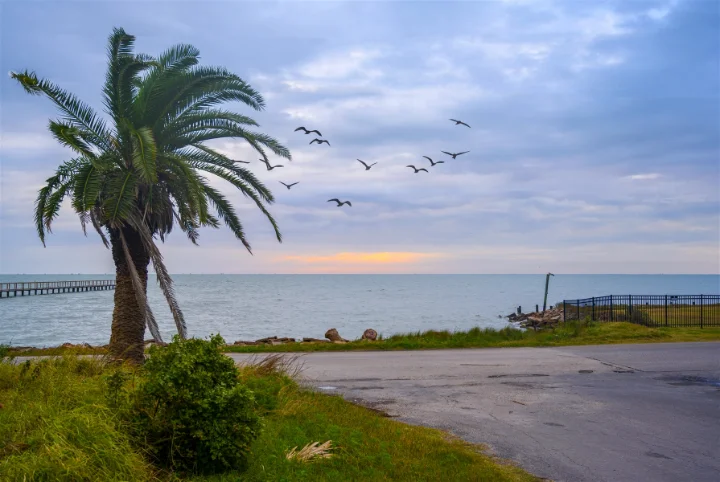 Discover Fulton | Miss Kitty's Fishing Getaways | Town of Fulton Discover Fulton | Miss Kitty's Fishing Getaways | Town of Fulton