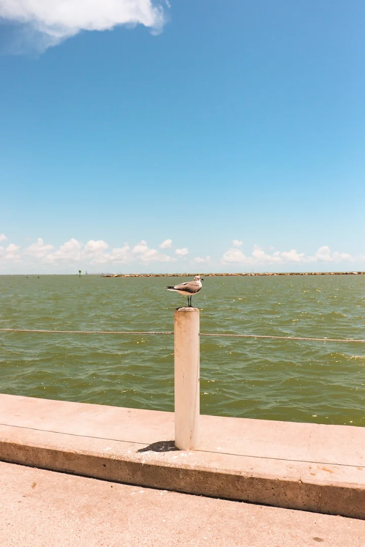 Aransas Pass, Texas Rentals | Miss Kitty's Fishing Getaways Aransas Pass, Texas Rentals | Miss Kitty's Fishing Getaways