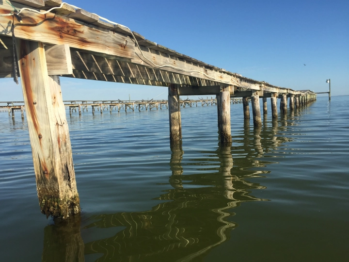 Key Allegro | Miss Kitty's Fishing Getaways | A VTrips Experience Key Allegro | Miss Kitty's Fishing Getaways | A VTrips Experience